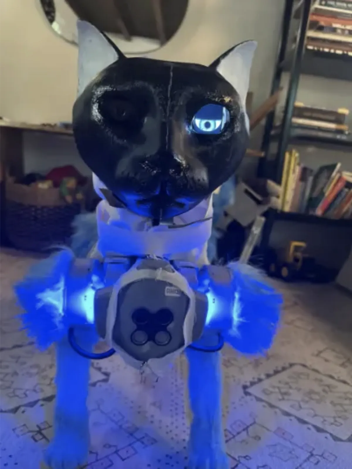 Close-up of the camera hidden in Nushi’s eye